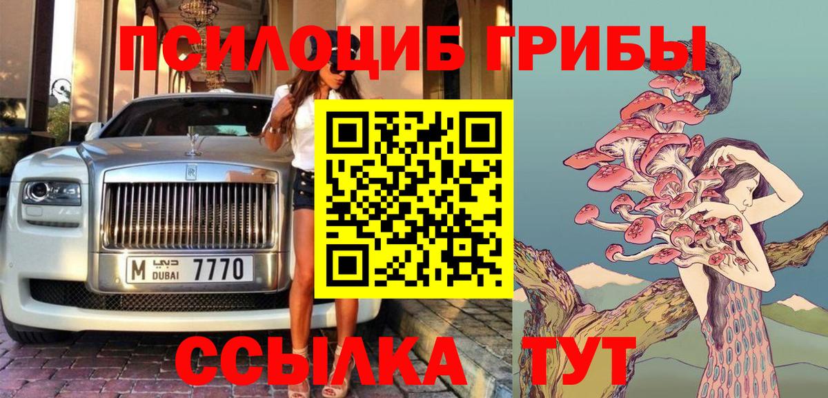 Псилоцибиновые грибы Psilocybine cubensis Гай