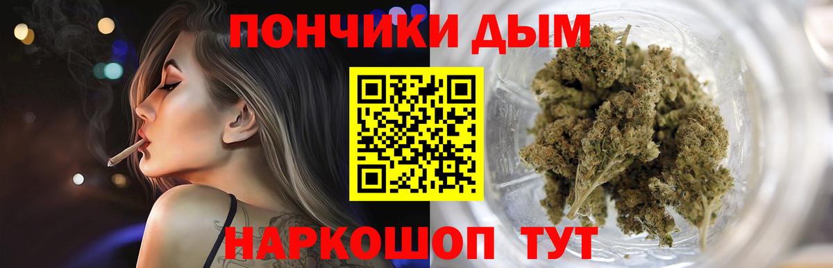 Бошки Шишки планчик  Бошки марихуана сатива  Гай  Канабис MAZAR  Вход с VPN 